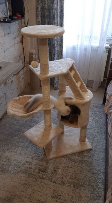 Когтеточка, дряпка, домик для кота, комплекс для для кота, 117.5 см