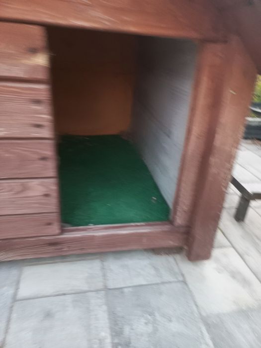 Buda dla psa ocieplona , gont solidna