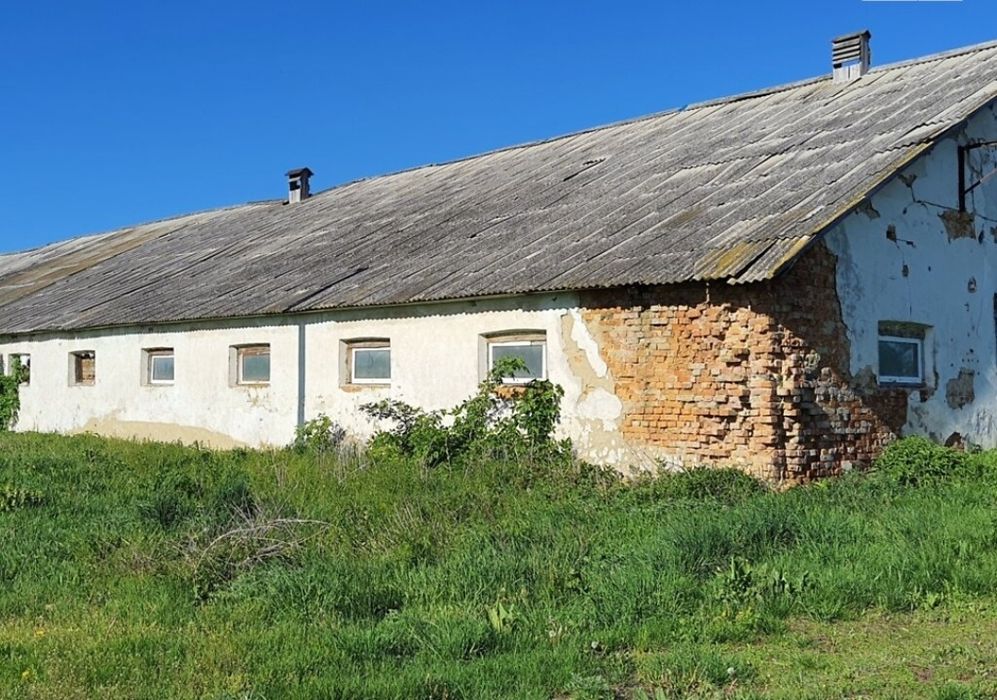 Продам свинарники