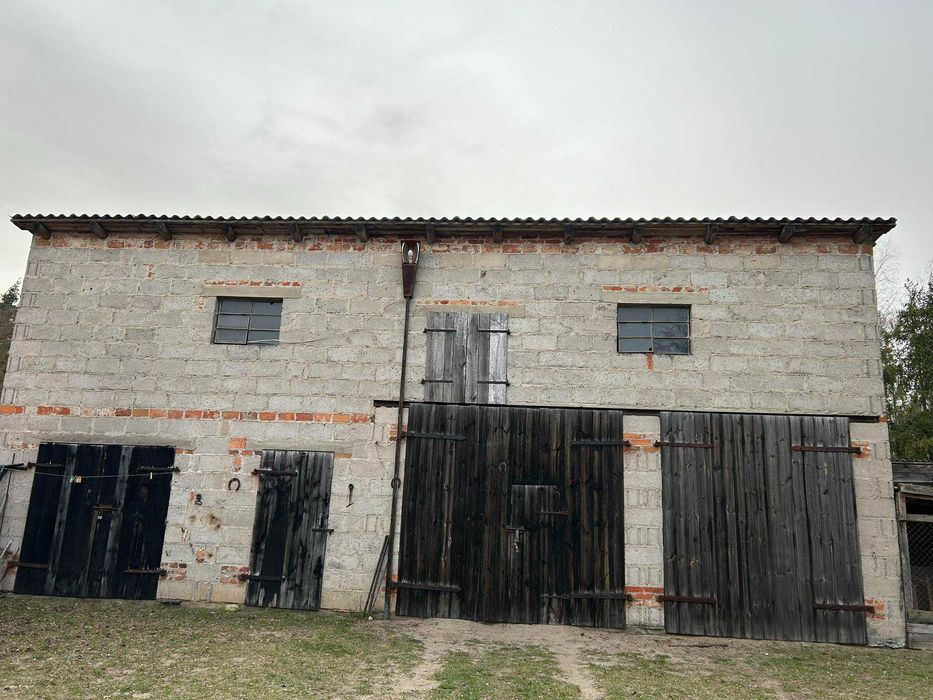 Sprzedam gospodarstwo rolne z domem, zabudowaniami i ziemią.