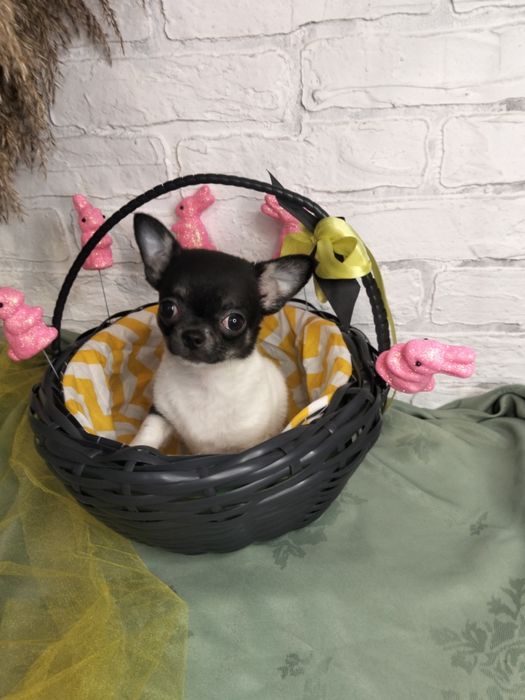 Маленька булочка