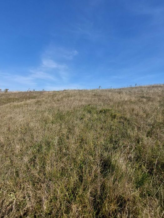 Продам недорогу земельну ділянку