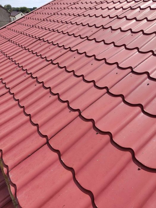 Mycie i malowanie elewacji, kostki, dachów