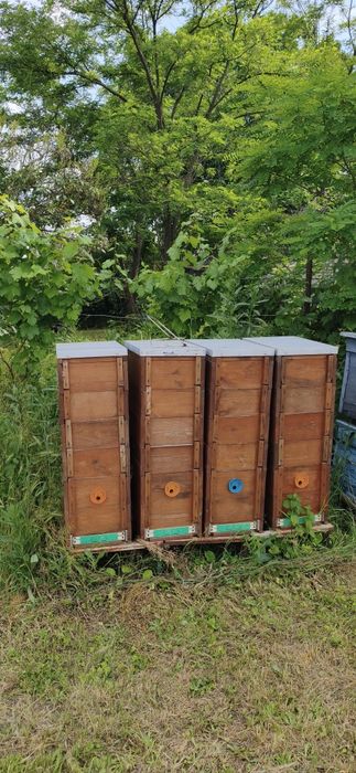 Продам вулики Поліводи(рогаті)