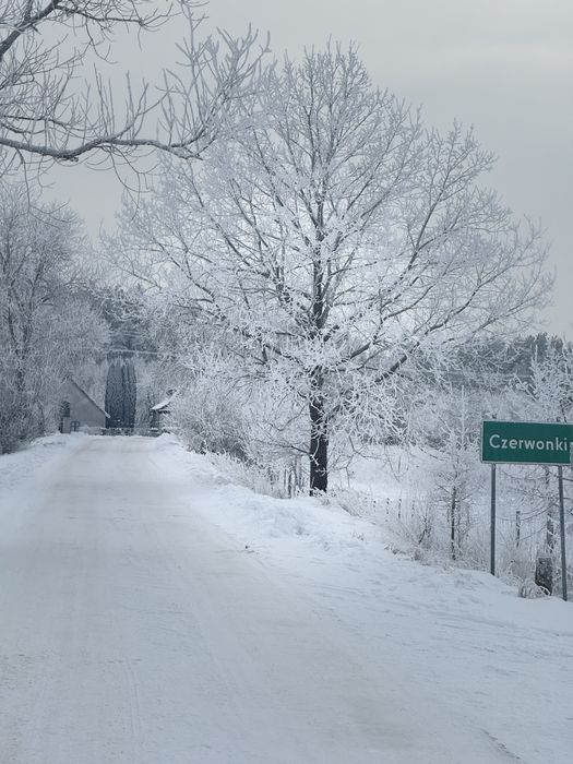 Domek premium Czerwonki | Jacuzzi, sauna, SUP, rowery wodne i ognisko