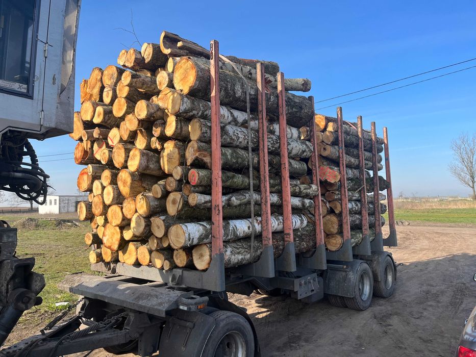 Drewno Opałowe - Brzoza wałki