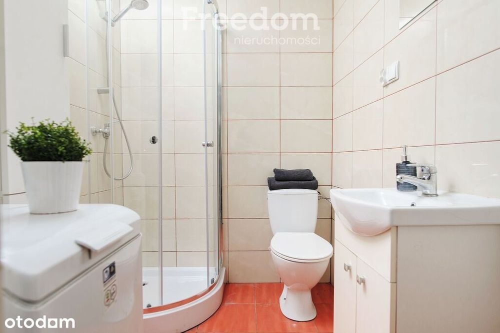 Kawalerka do wprowadzenia