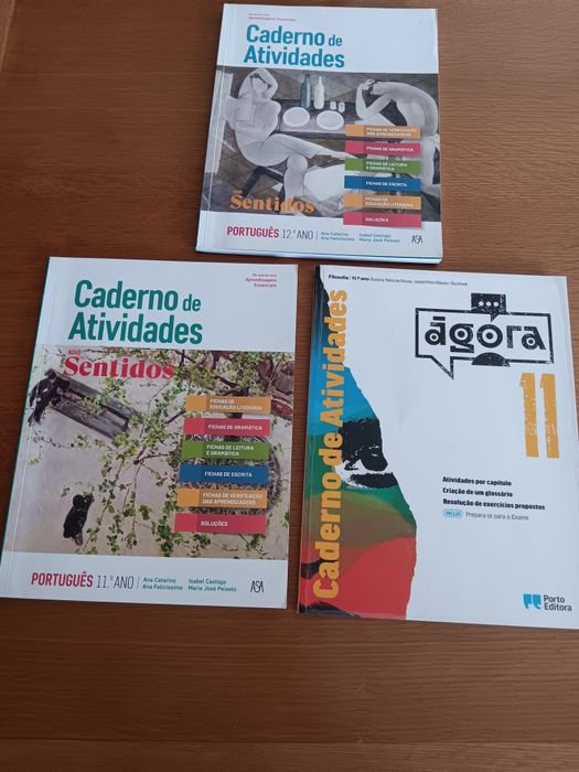 Caderno atividades  novo Sentidos  12 ano - filosofia