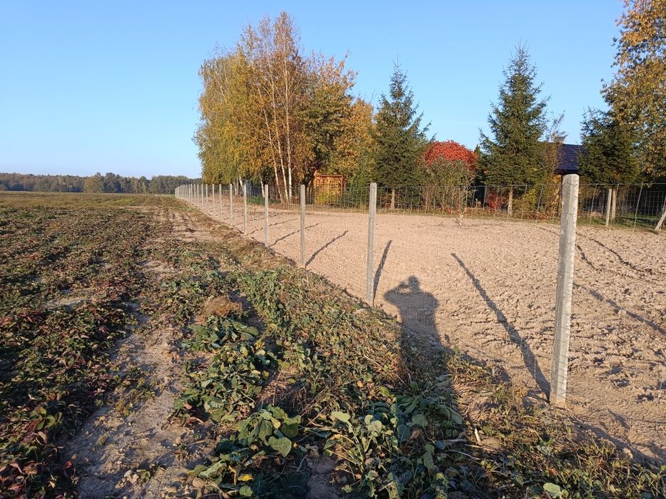 Ogrodzenie tymczasowe siatka leśna słupek drewniany betonowy