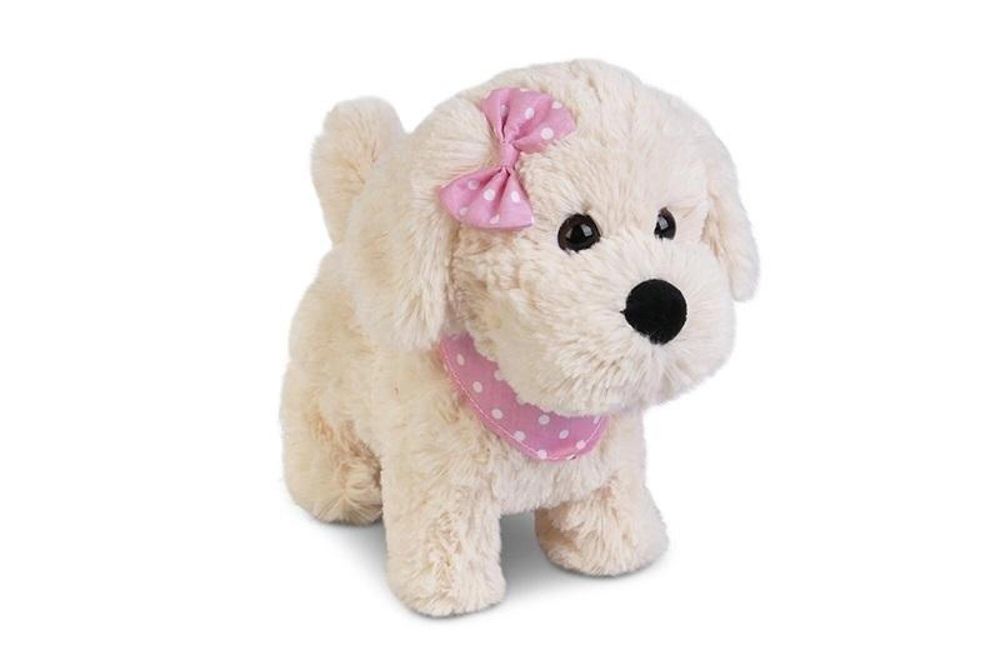 Piesek chodzący na smyczy Natalia pudełko,234x252 mm