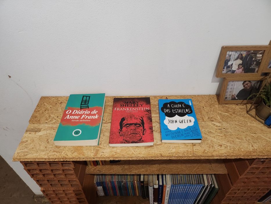 Clássicos & Inspiração – Anne Frank + Frankenstein + A Culpa é das Est