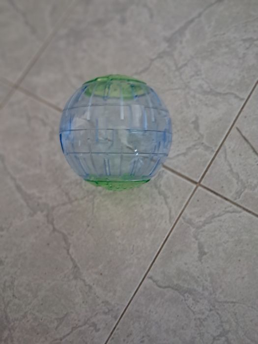 Bola  de hamster