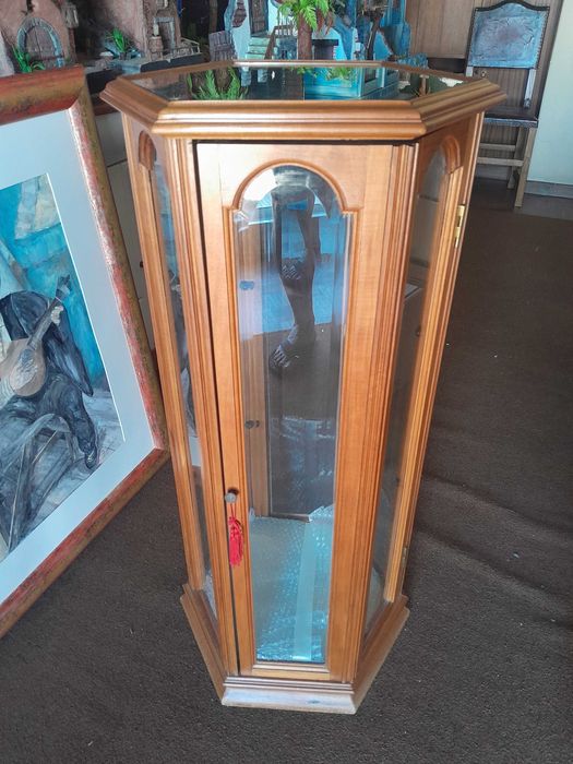 Vendo vitrine com 2 parteleiras de vidro,porto
