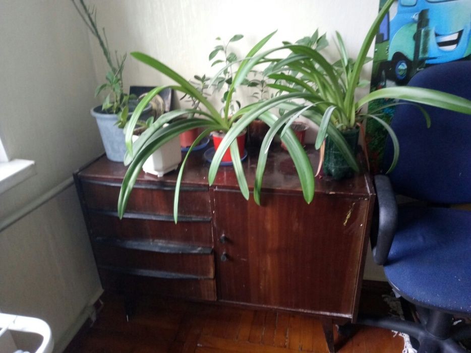 Тумбочка вместительная