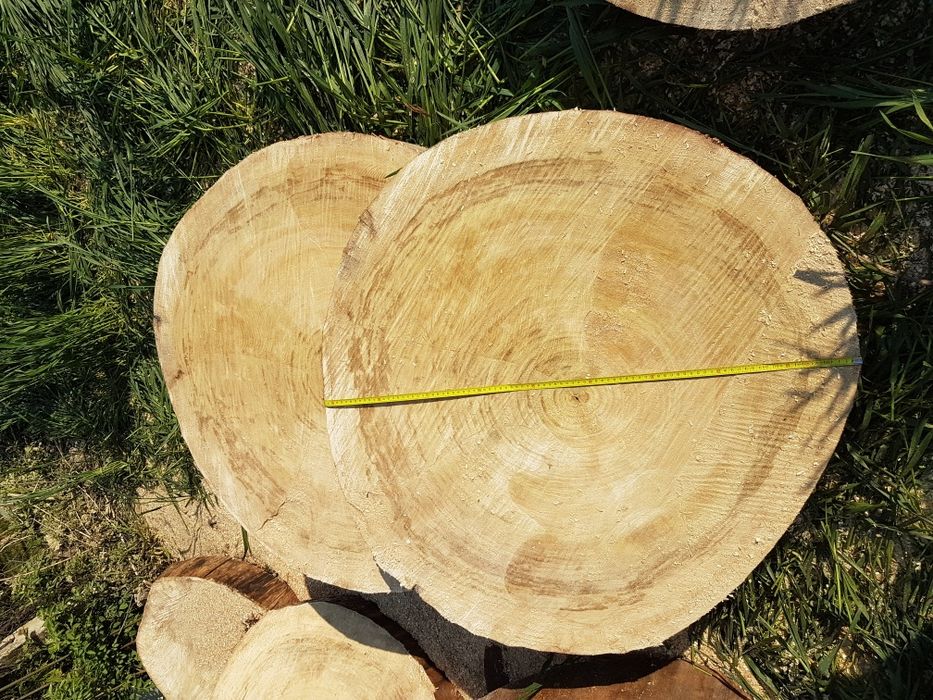 Drzewo, blat, stół, pień topola średnica 80-100 cm