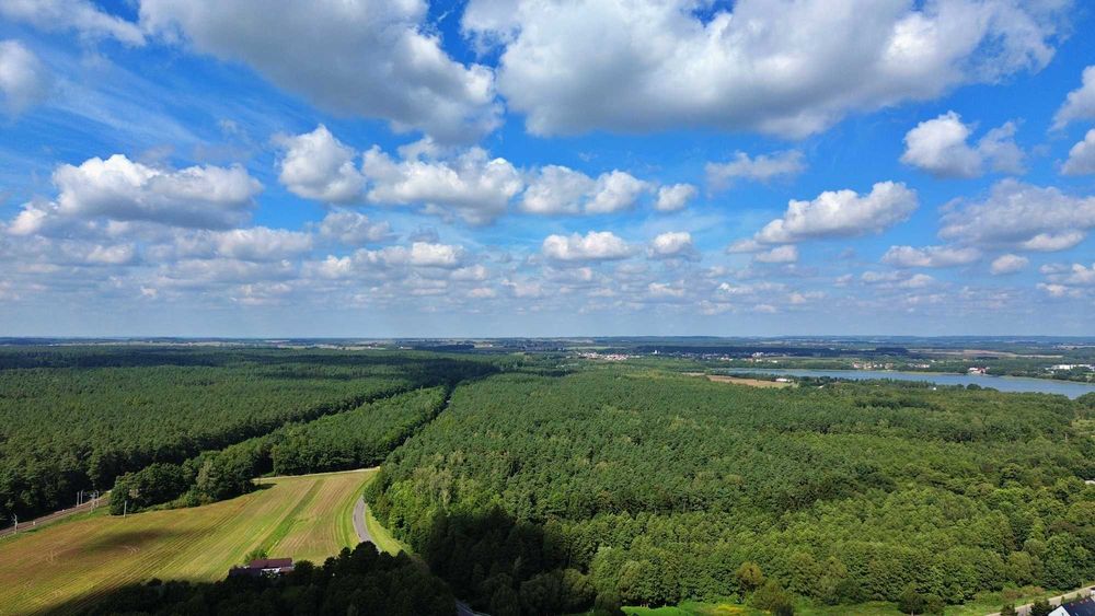 Tuczki | działka 1,1256 ha | WZ | 2 km od Rybna | kolej, jeziora, potencjał - Widok 4