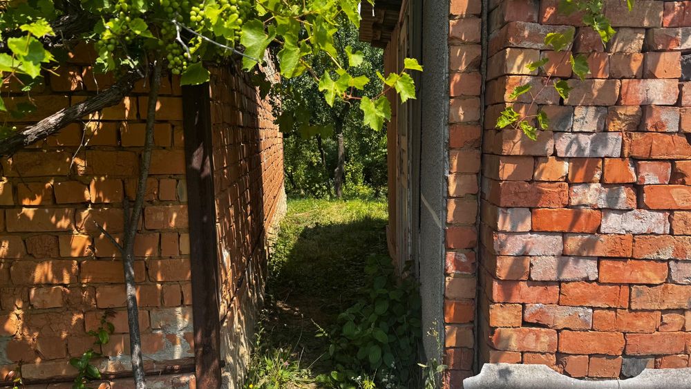 Продам цегляний будинок 80 соток