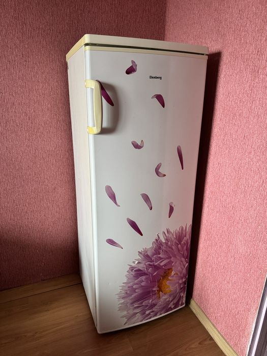 Морозильна камера Elenberg