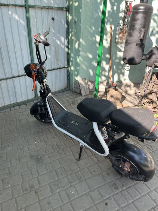 Like bike Zero plus