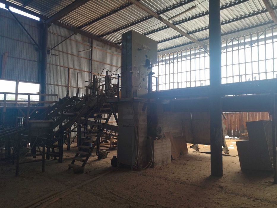 Вертикальна пилорама Primultini 1300