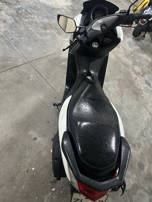 Mota N max 2019