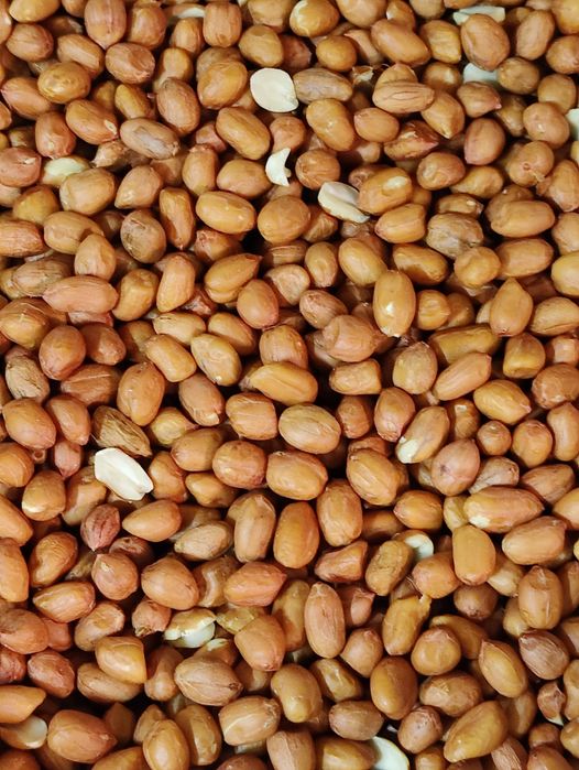 Продається  арахіс