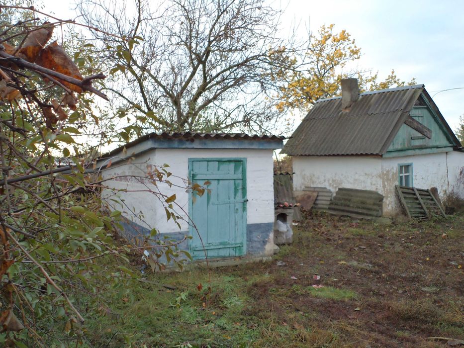 Продам дом в Магдалиновский район с. Топчино