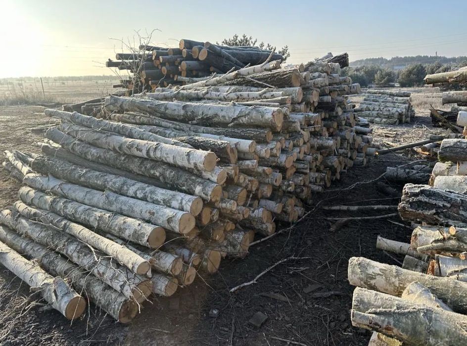 Дрова ОПТОМ та в роздріб. Ціни мінімальні. Тверді породи. 3/18 м3