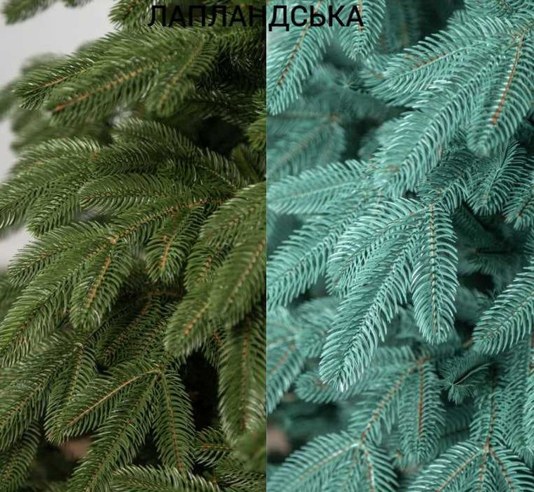 найпишніша ялинка ЛАПЛАНДСЬКА