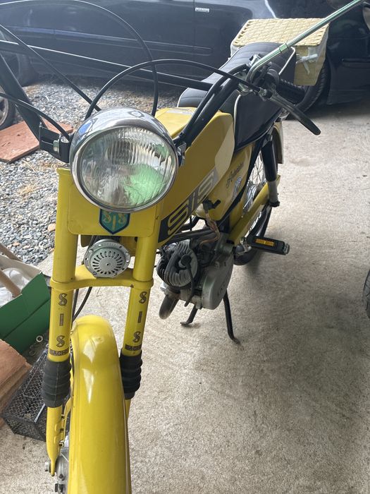 Sachs andorinha amarela