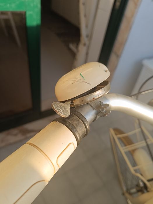 Bicicleta tipo Pasteleira Berg