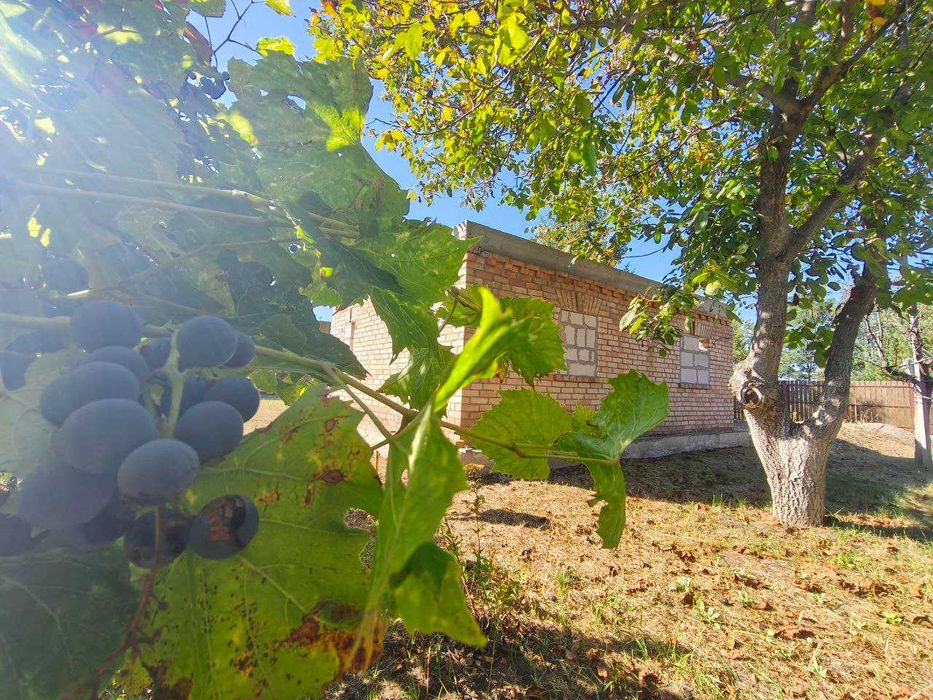 Акція! Земельна ділянка в СТ «Садко», с. Андріївка, Бучанський р-н