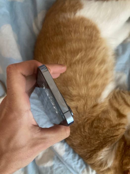 Iphone 13 pro 256gb neverlock с нюансом