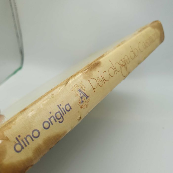 Livro - Dino Origlia - A Psicologia do Casamento - Ref-PAR3