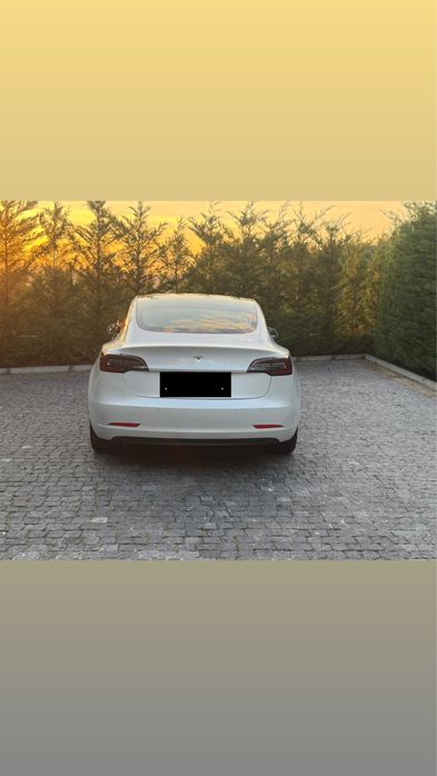 Tesla model 3 2019