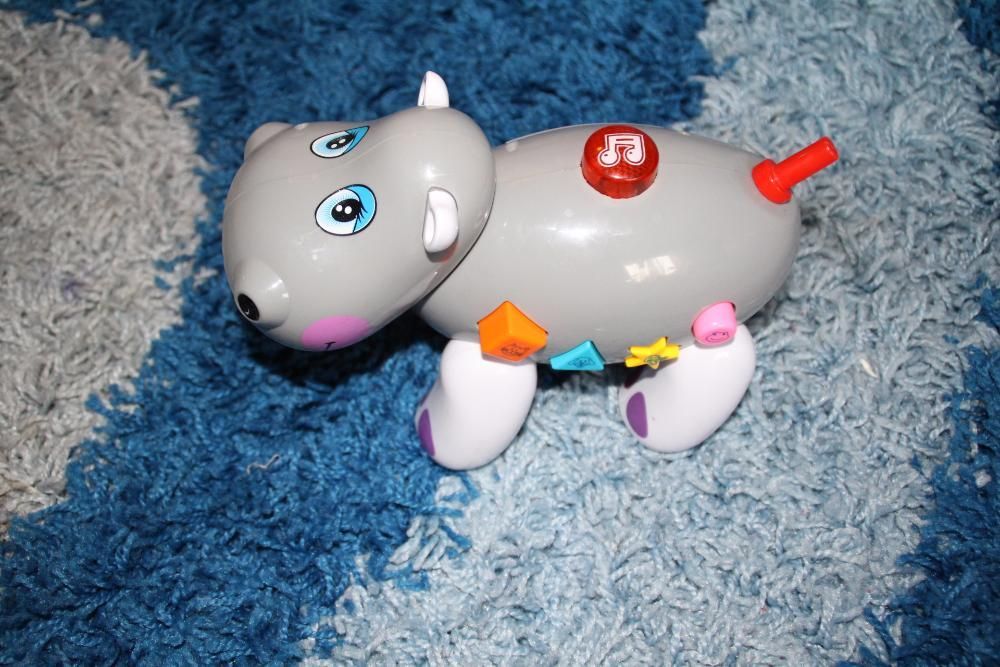 Wesoły hipcio. Grajacy