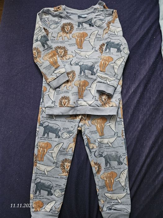 Dres chłopięcy dwuczęściowy bawełniany, lekki so cute 98 motyw zwierzą