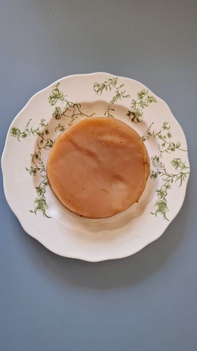 SCOBY grzybek do kombuczy