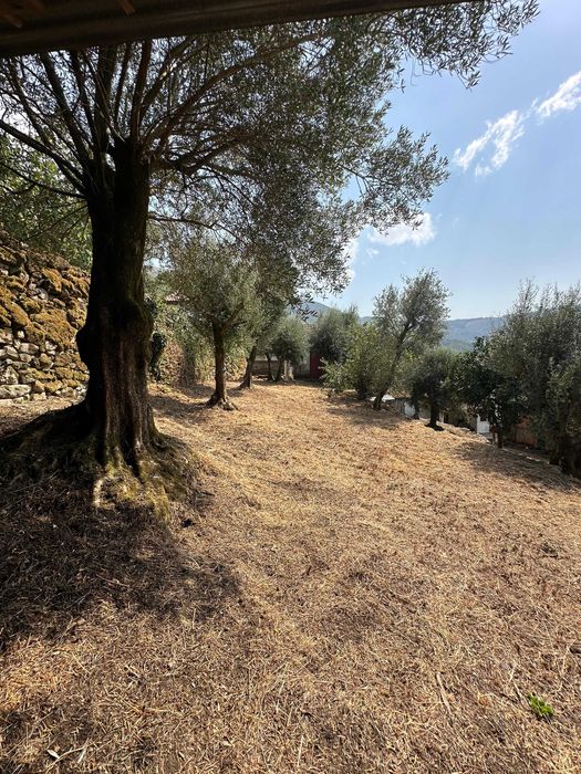 Conjunto de Duas Casas – Venda em Conjunto ou Separado