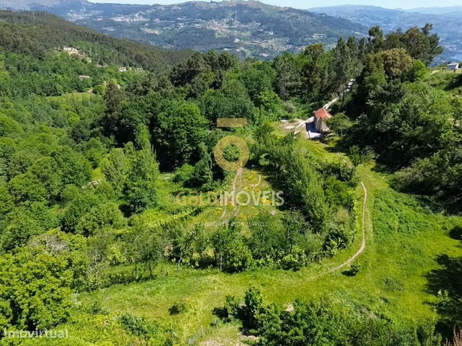 Terreno Rústico  Venda em Santiago de Piães,Cinfães