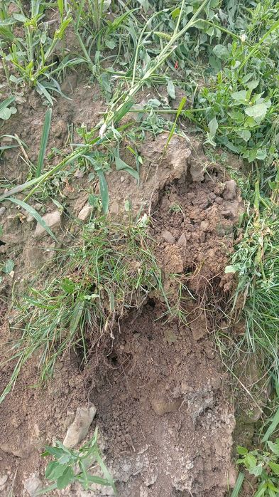 Sprzedam ziemię TANIO PILNE