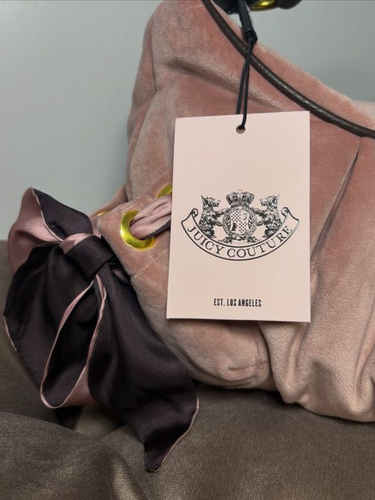 Сумка Juicy Couture Daydreamer Hobo Bag рожева пудрова