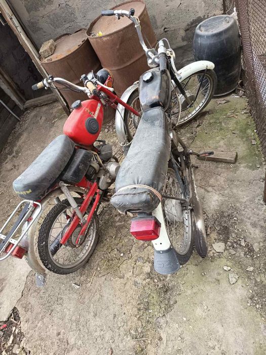 Карпати в рідній краскі