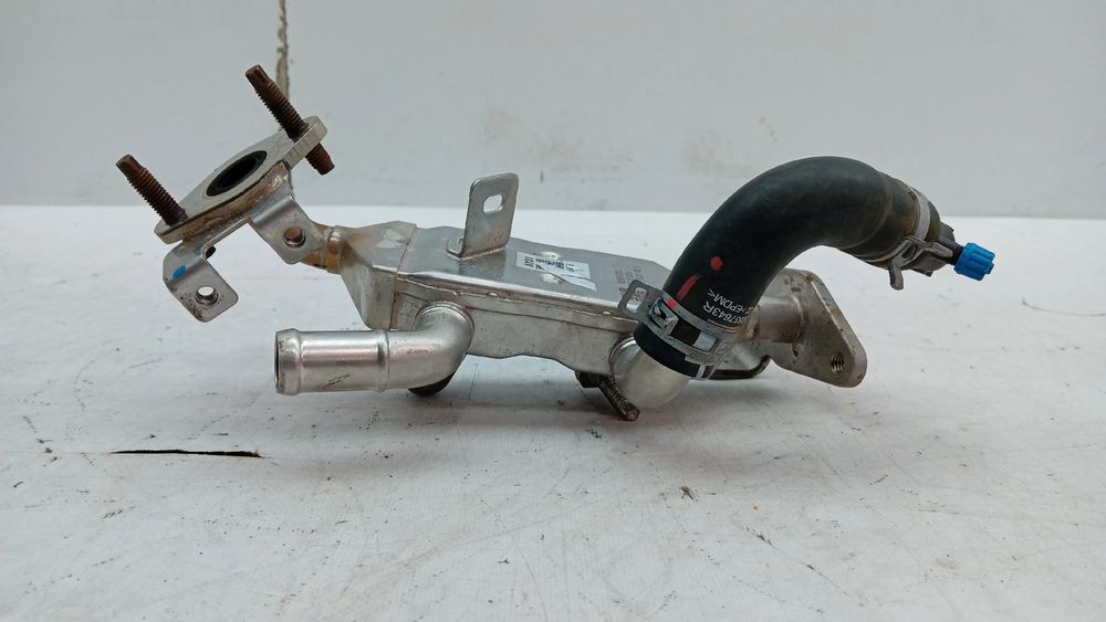 Radiador de gases / EGR RENAULT Clio V (BF_)