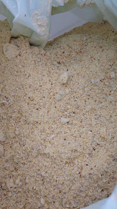 Kukurydza mokra, ccm big bag, transport!