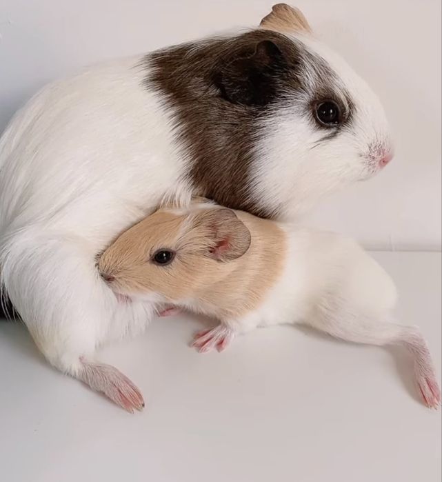 Ваше персональное «солнышко» ждет вас