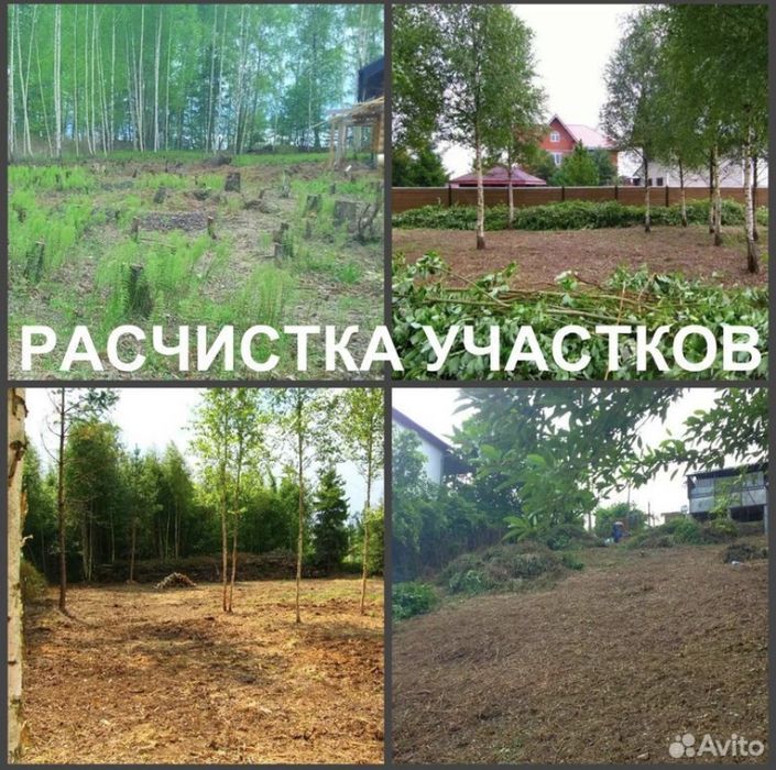 Расчистка участков. Уборка участков .Спил деревьев. Демонтаж. Вывоз !