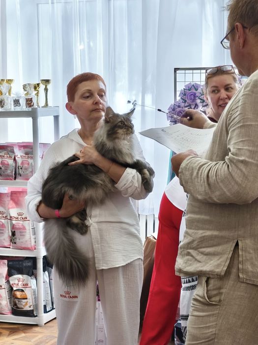 У зв'язку з реструктуризацію.