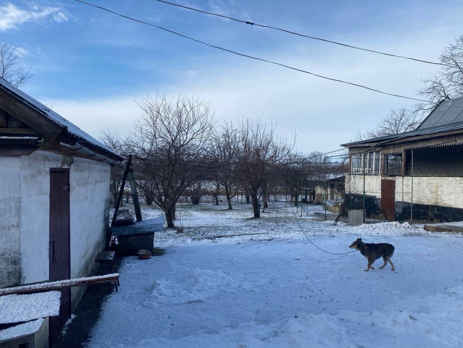 Продам затишний будинок біля річки, ділянка 40 соток