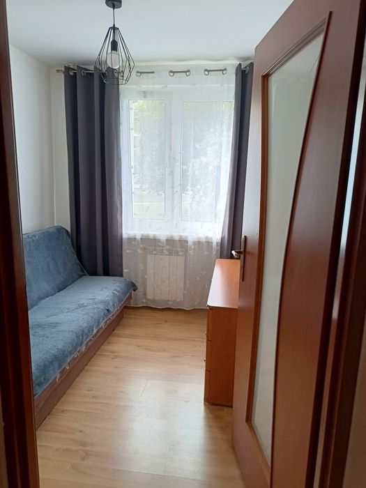 Zdjęcie 8